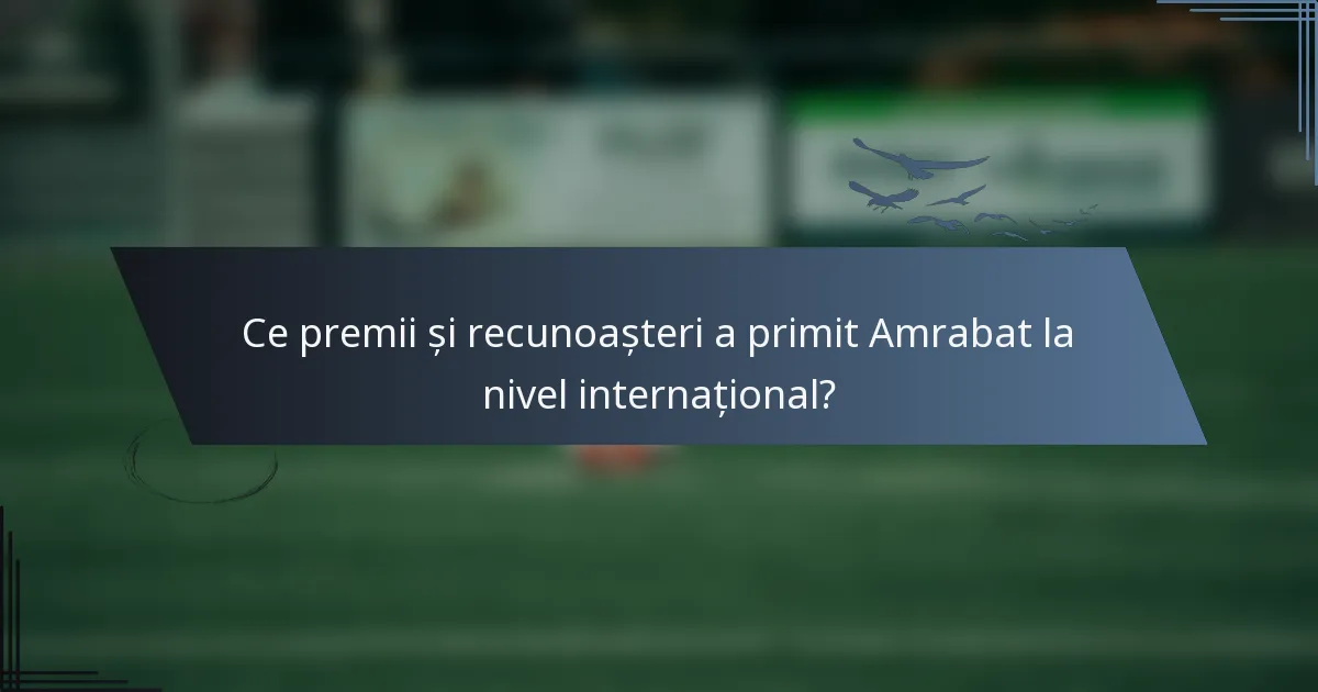 Ce premii și recunoașteri a primit Amrabat la nivel internațional?